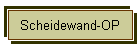 Nasenscheidewand- OP